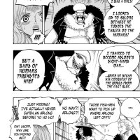 one piece 617