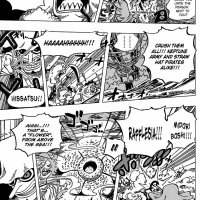 one piece 617