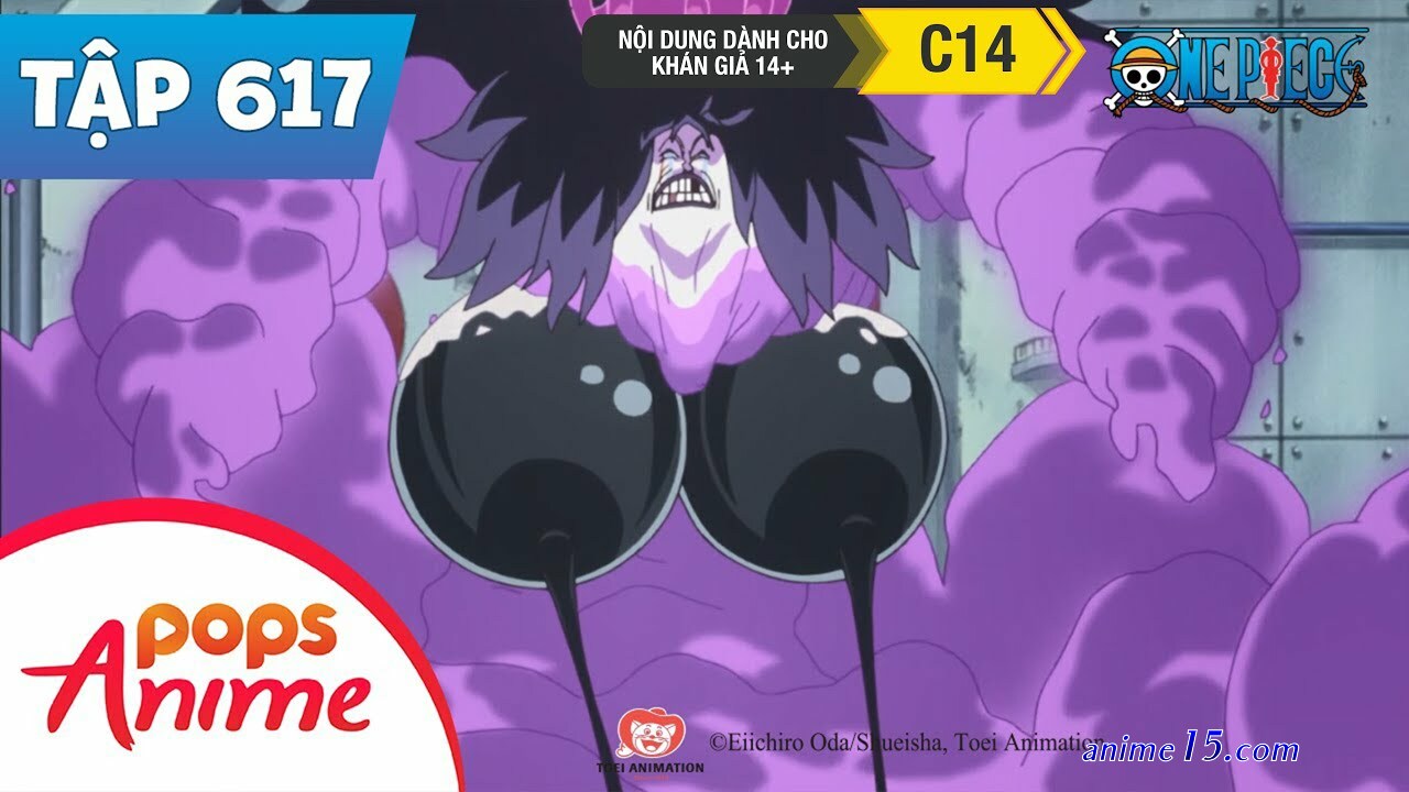 one piece 617