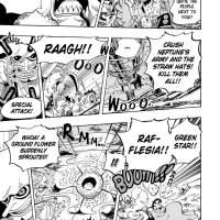 one piece 617