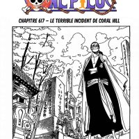 one piece 617