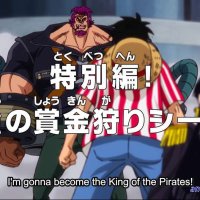 one piece capitulo 895 flv