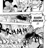 one piece 617