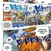 one piece 617