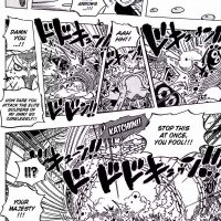 one piece 617