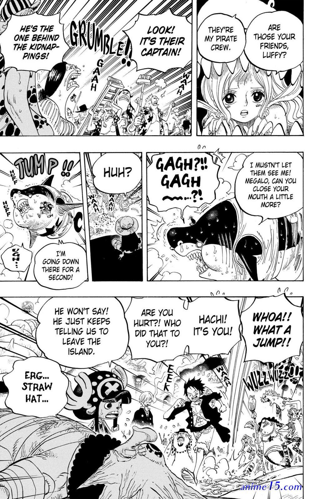 one piece 617
