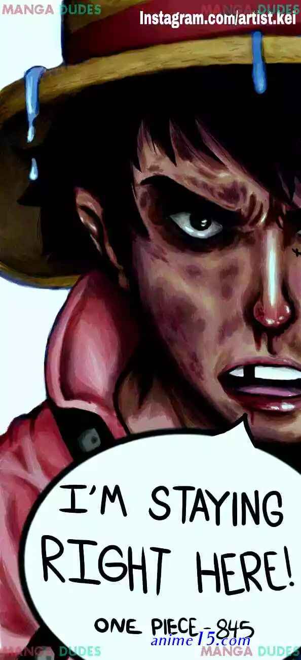 one piece 846