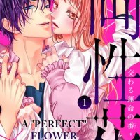 manhwa mature