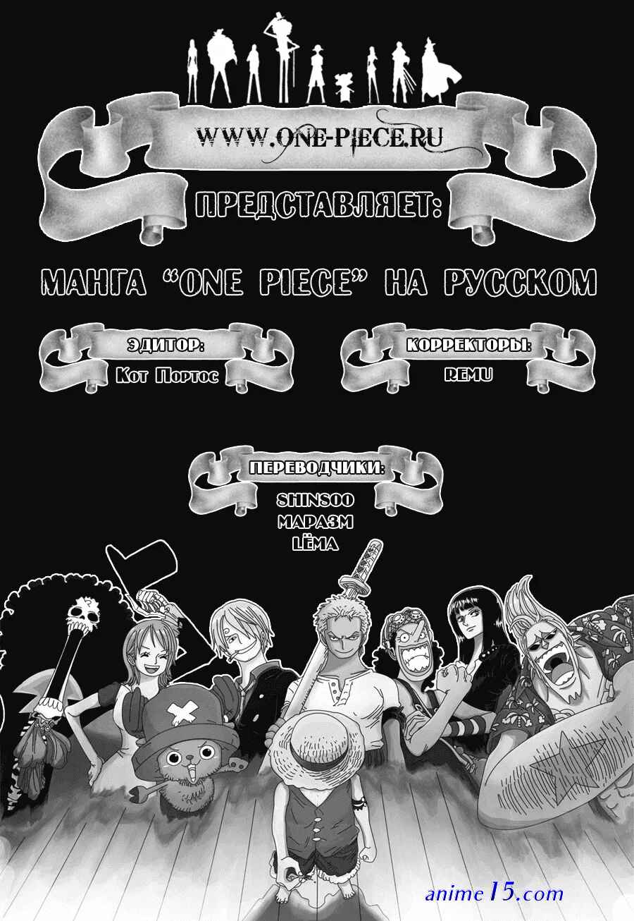 one piece 617