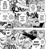 one piece 617
