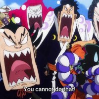 one piece episode 785 gogoanime