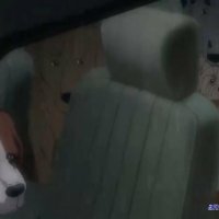 one piece 911 anime flv