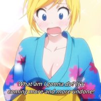 campione gogoanime