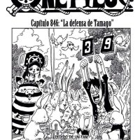 one piece 846