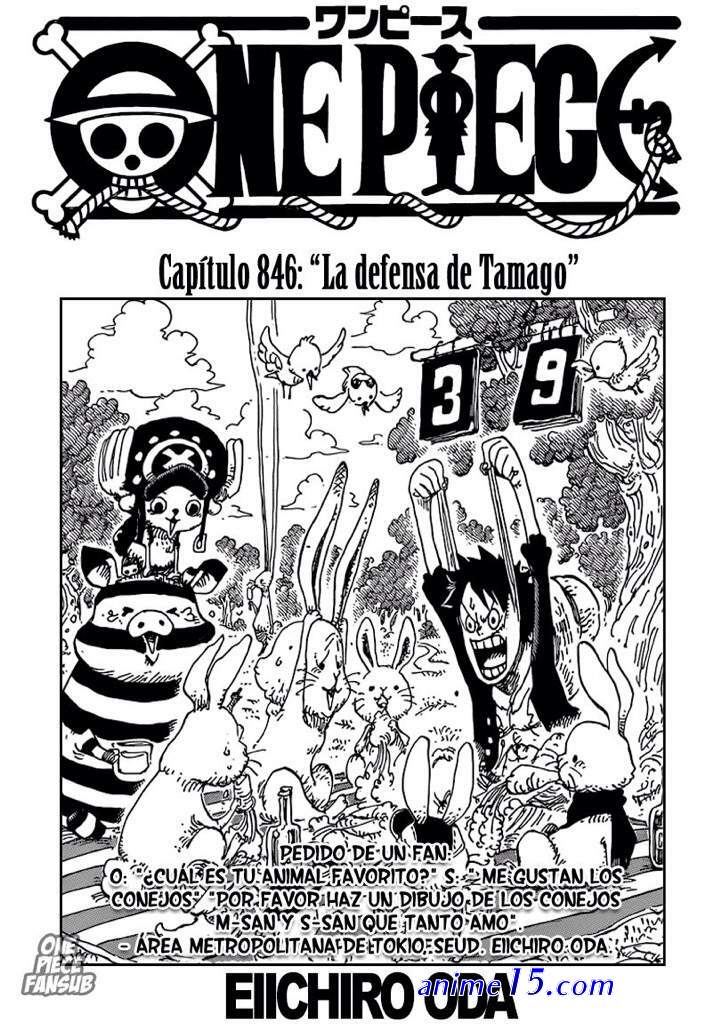 one piece 846