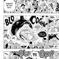 one piece 617