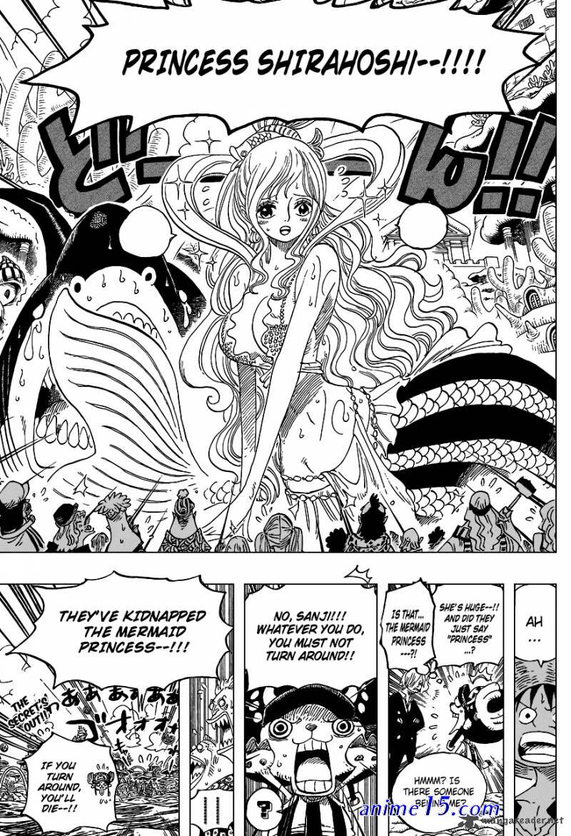one piece 617