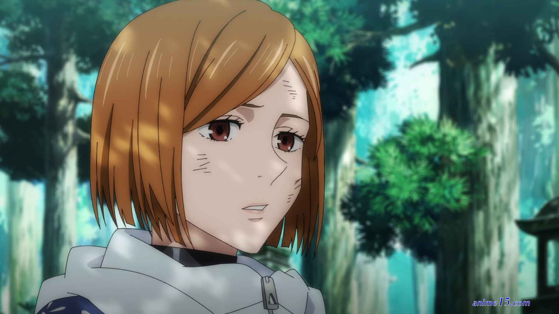 jujutsu kaisen legendado