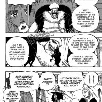 one piece 617