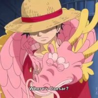 one piece 614