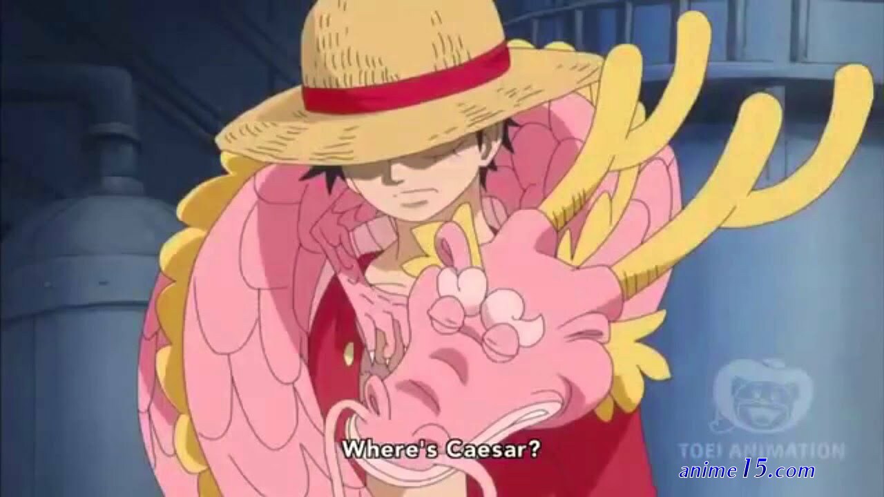 one piece 614