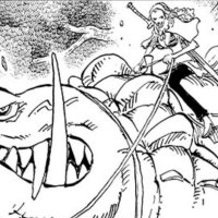 one piece 846