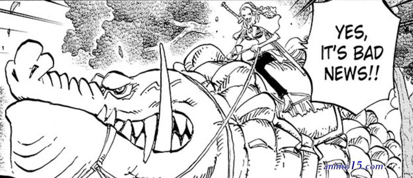 one piece 846