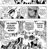 one piece capitulo 819