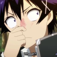 nisekoi full ep 1 season 1 gogo