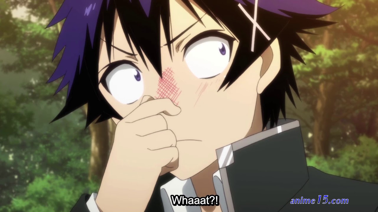 nisekoi full ep 1 season 1 gogo