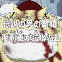 onepiece ep250 gogoanime