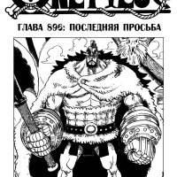 one piece 896
