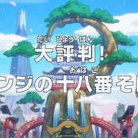 one piece 920