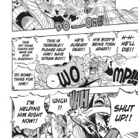 one piece 538