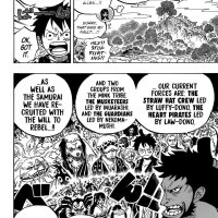 one piece 920