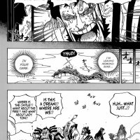 one piece 920