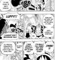 one piece 619