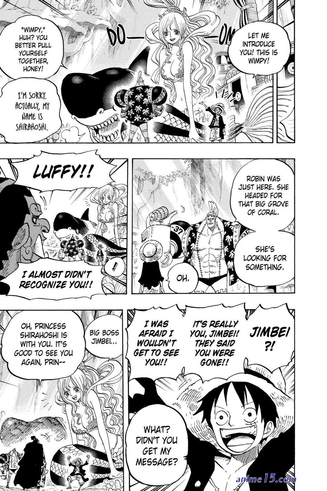 one piece 619