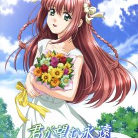kimi ga nozomu eien