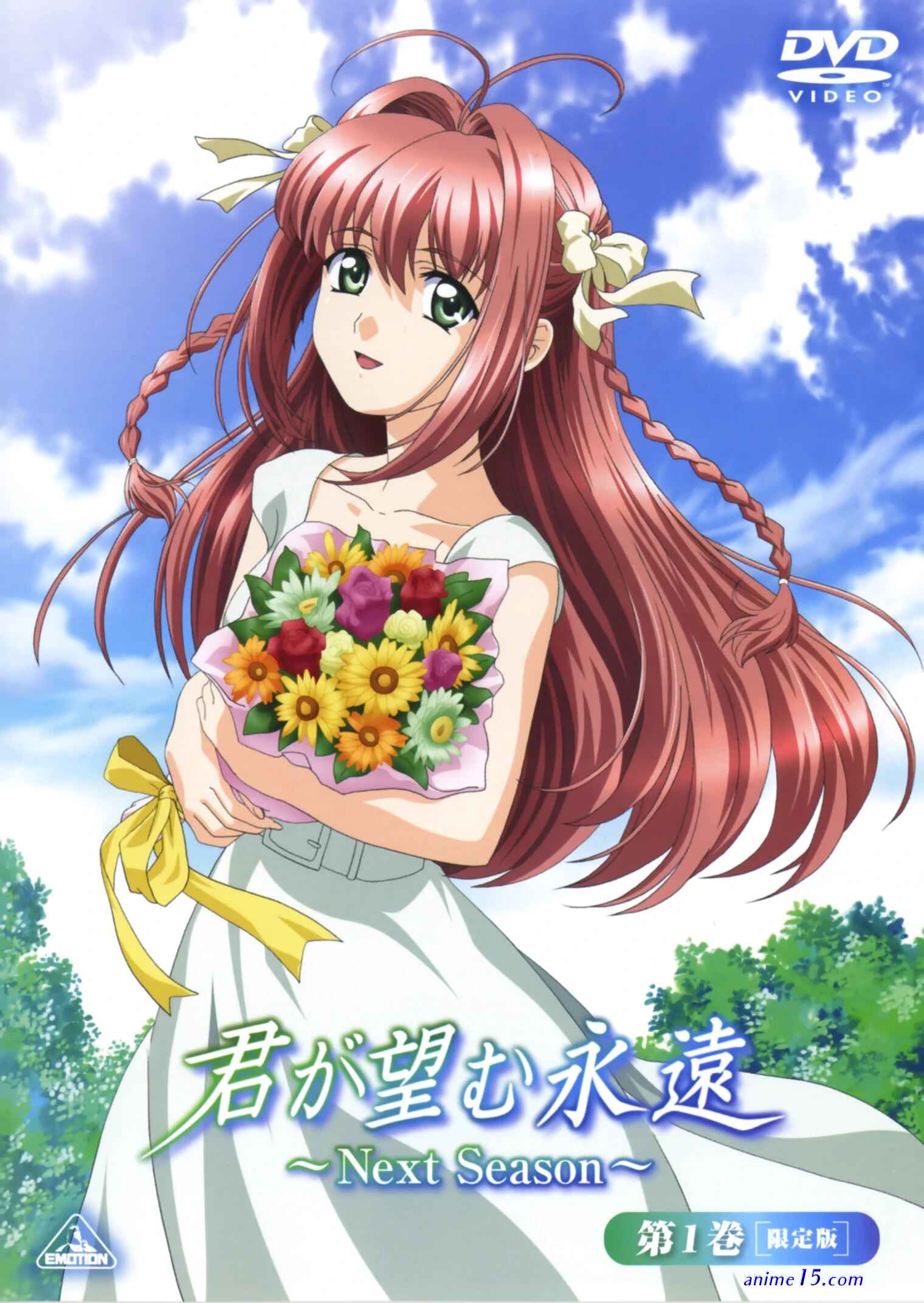 kimi ga nozomu eien