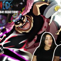 one piece épisode 840 vostfr