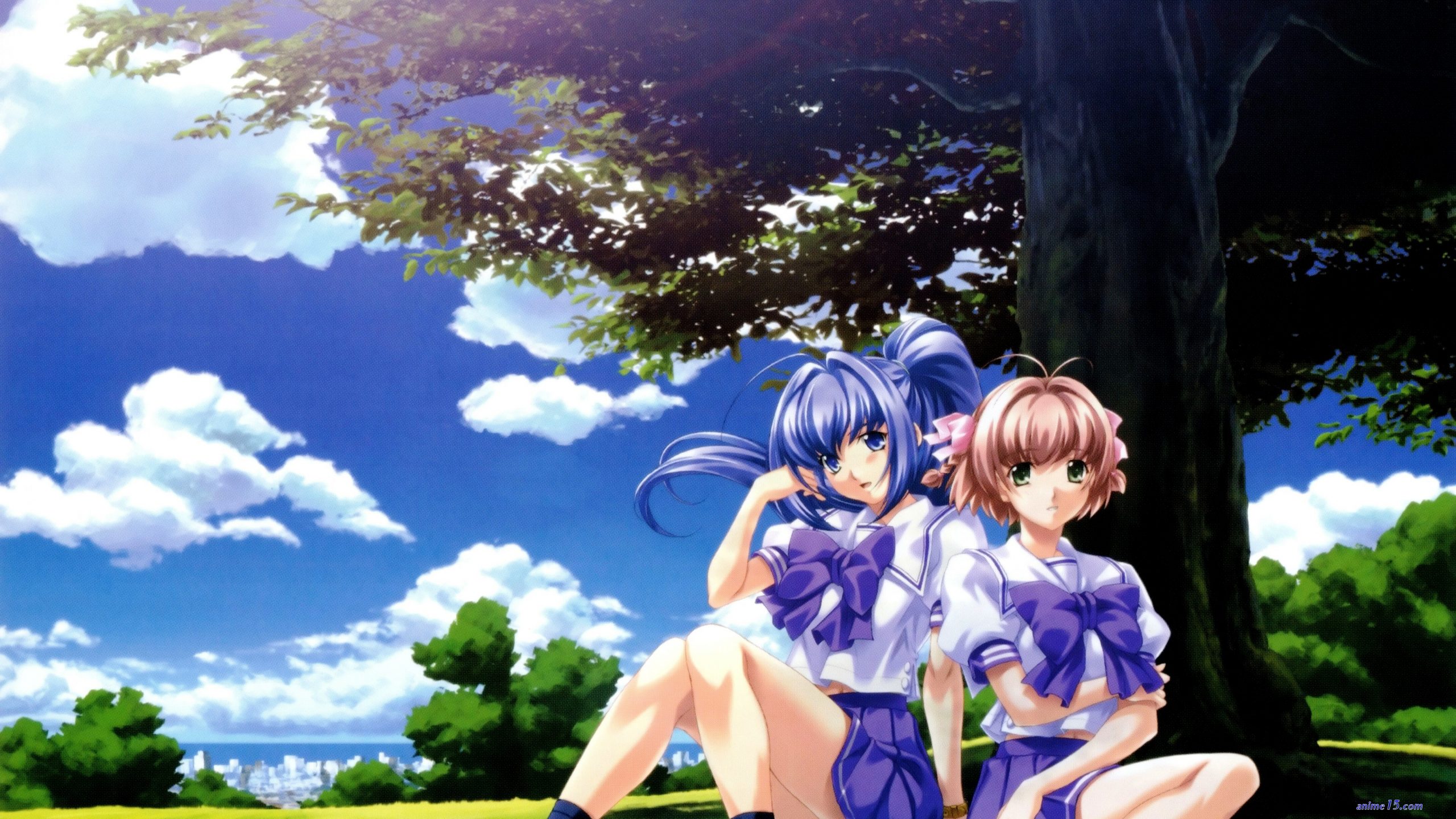 kimi ga nozomu eien