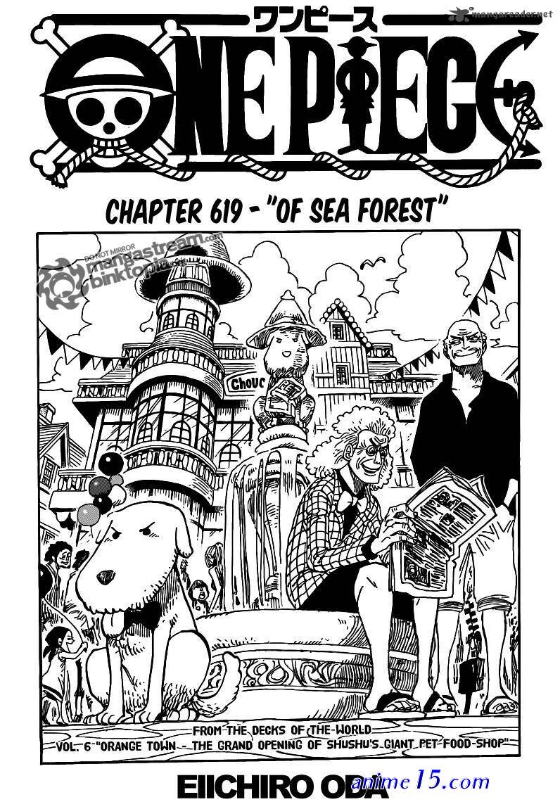 one piece 619