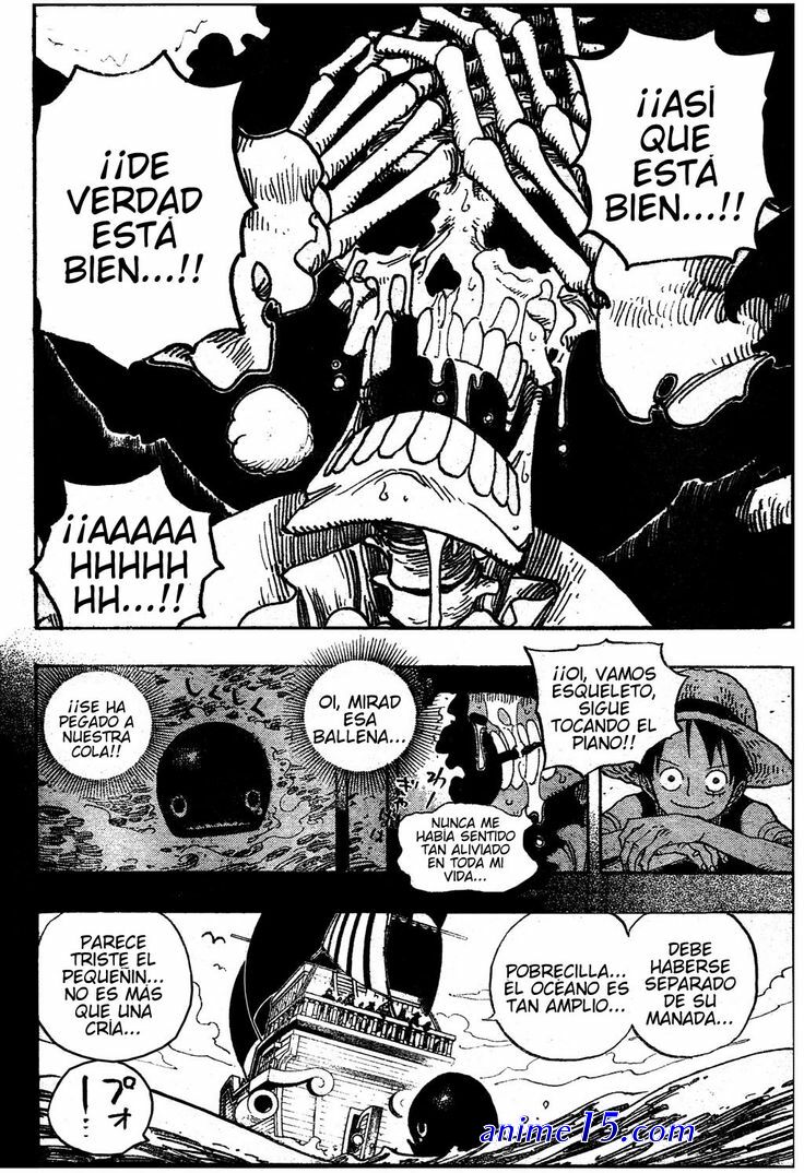 one piece capitulo 486