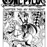 one piece 748