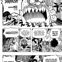 one piece 619
