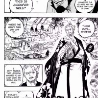 one piece 920