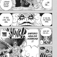 one piece 538