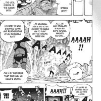 one piece 538