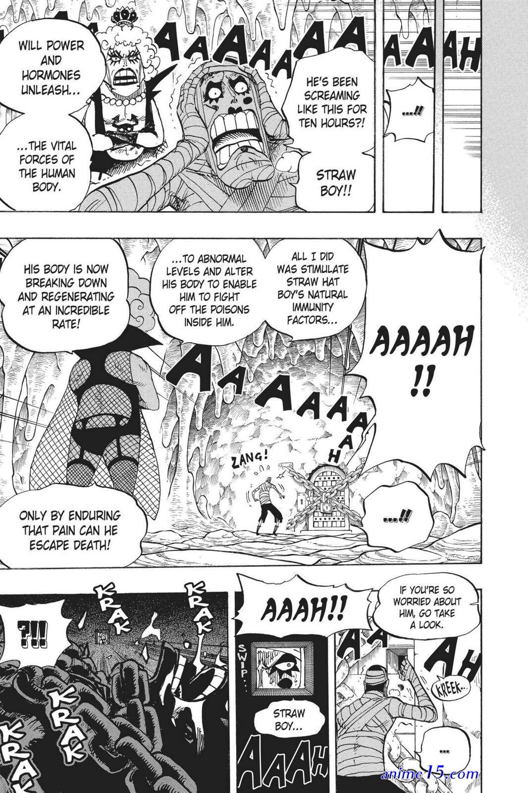 one piece 538